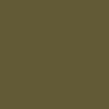 Mission Models Paint Olive Drab 41 USAAF/USAF 1oz